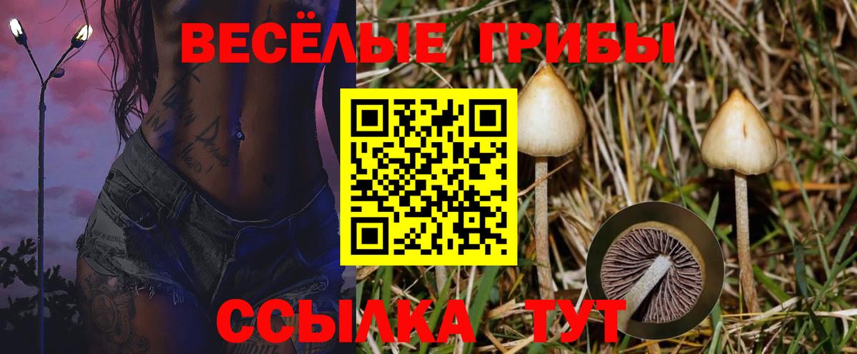 купить закладку  Вход с VPN  Янаул  Галлюциногенные грибы прущие грибы 